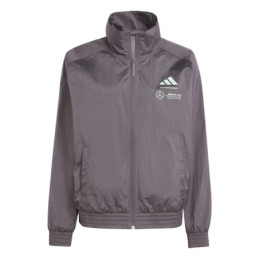 Veste Mercedes AMG pw gris...