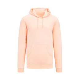 Sweat à Capuche FORMULA 1...
