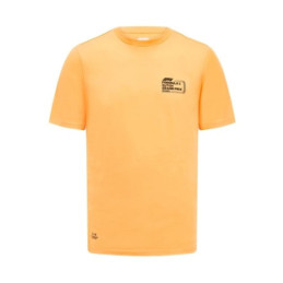 T-shirt FORMULA 1 GP...